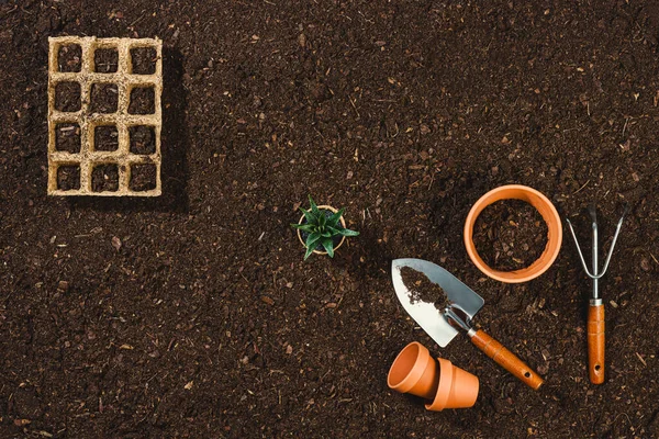 Herramientas de jardinería en la textura del suelo vista superior de fondo . —  Fotos de Stock