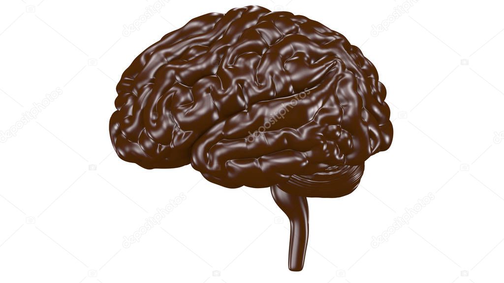 3D Chocolate brain