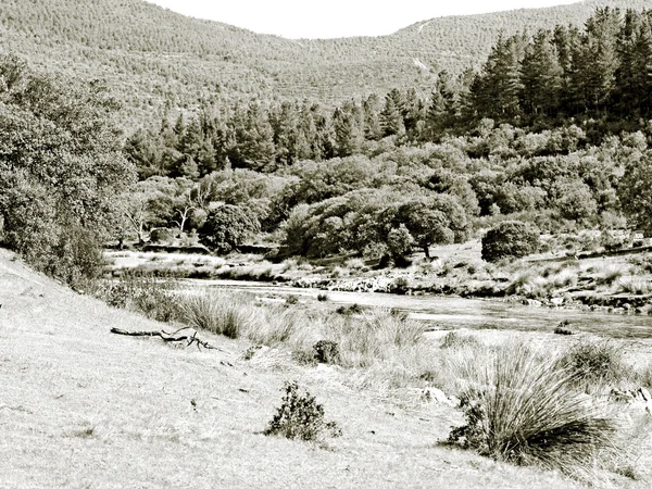 Berg rivier op zwart-wit — Stockfoto