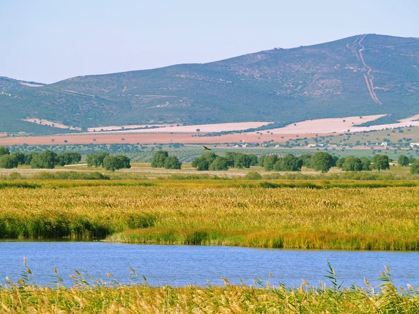 İspanya 'daki dağ manzarası