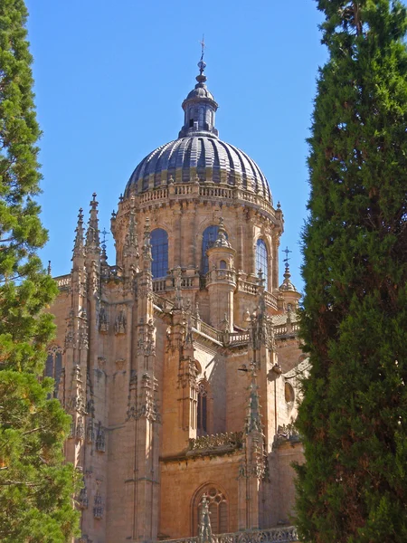 Famous Salamanca cathedral — Stock Photo, Image