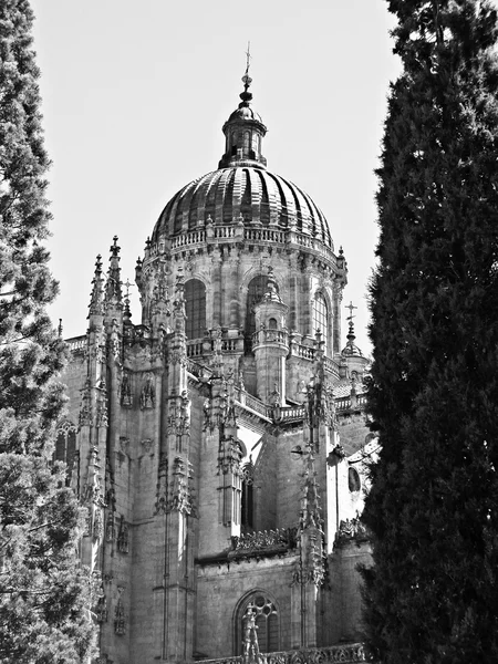 Cathédrale de Salamanque en noir et blanc — Photo