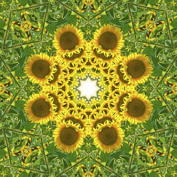 Kaleidoskop s přírodními motivy slunečnic — Stock fotografie