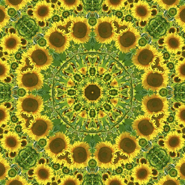 Kaleidoskop s přírodními motivy slunečnic — Stock fotografie