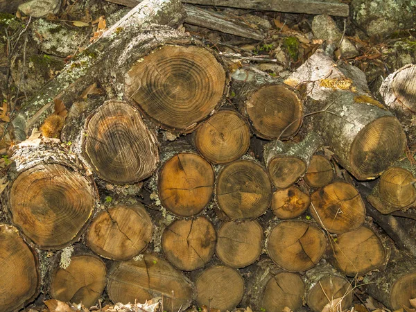 Texture naturelle de la pile de bois de chauffage — Photo
