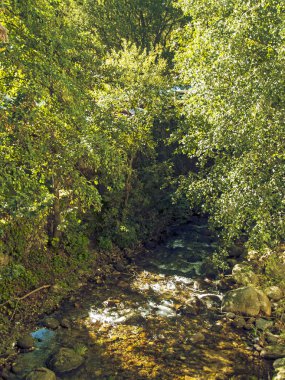 dağ nehir üzerinde sonbahar