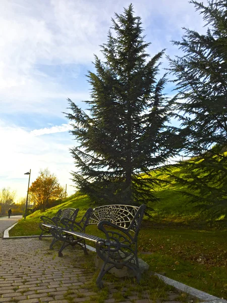 Um banco de ferro em um parque no outono — Fotografia de Stock