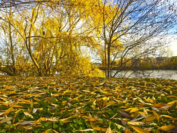 Un parque cerca del río Tormes en Salamanca en otoño —  Fotos de Stock