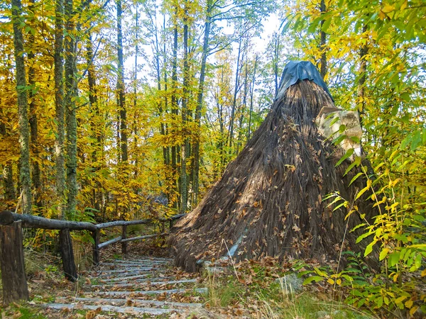 가을에 숲에 있는 고 대 오두막 — 스톡 사진