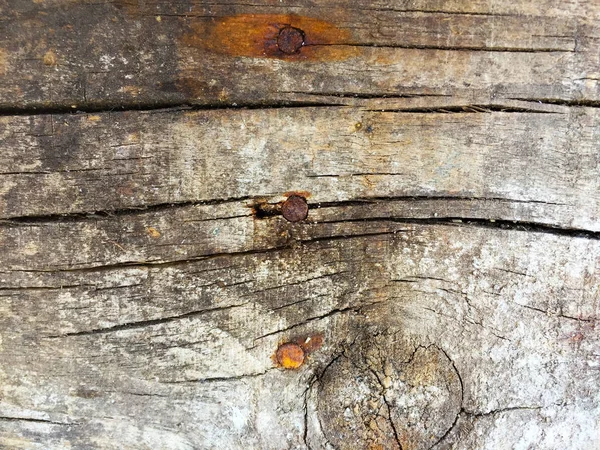 Naturliga textur av antika trä med spikar — Stockfoto