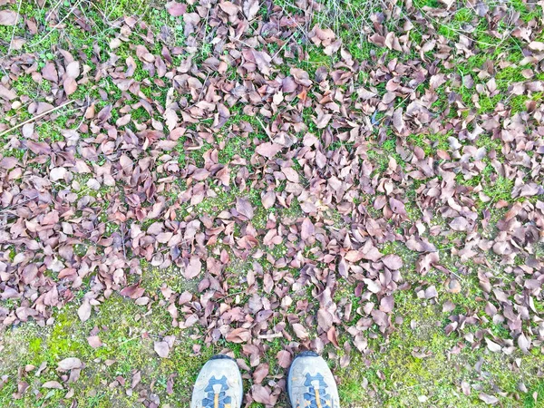 Natürliche Beschaffenheit der Blätter im Herbst und an den Füßen einer Person — Stockfoto