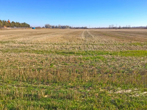 Die ländliche Landschaft eines Stoppelfeldes — Stockfoto