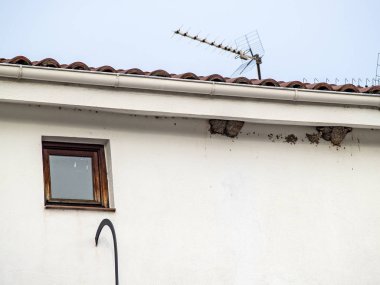 Geleneksel pencere ve yutmak yuva üzerinde Yahudi neighbordhood Hervas, İspanya