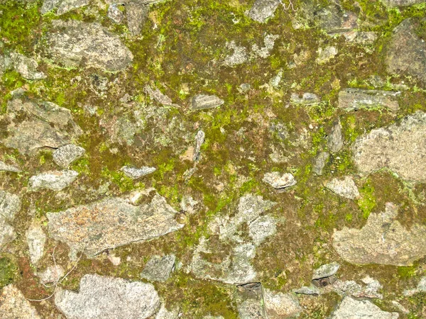 石墙上苔藓的自然质地 — 图库照片