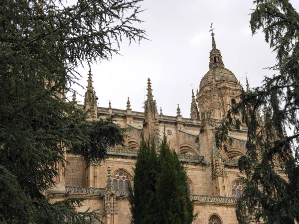 Собор Саламанки, Испания, всемирное наследие — стоковое фото