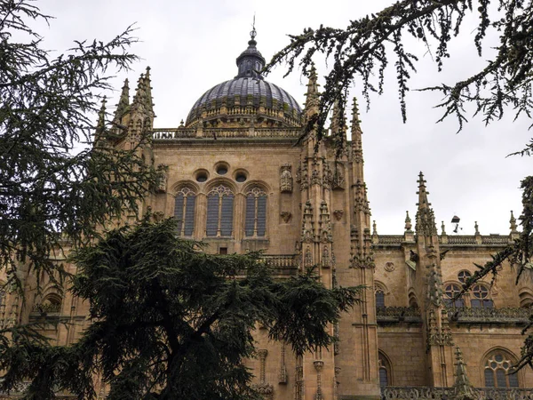 Cattedrale di Salamanca, Spagna, patrimonio mondiale — Foto Stock