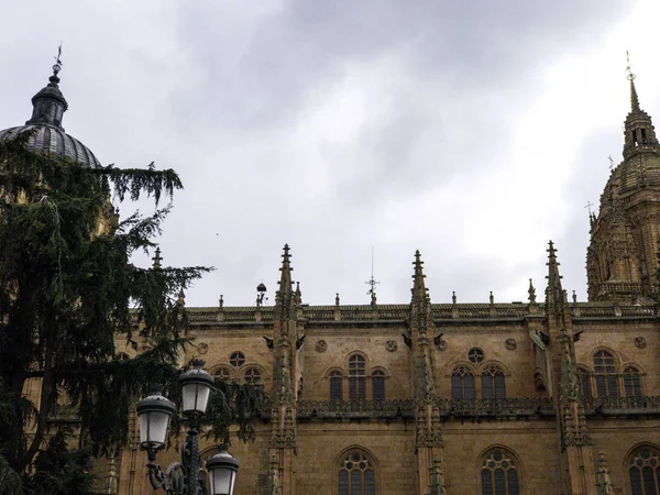 Cattedrale di Salamanca, Spagna, patrimonio mondiale — Foto Stock