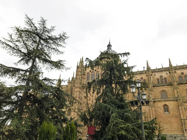 Kathedraal van Salamanca, Spanje, Werelderfgoed — Stockfoto