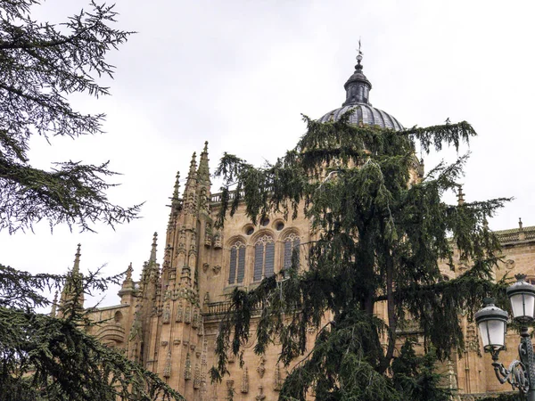 Kathedraal van Salamanca, Spanje, Werelderfgoed — Stockfoto