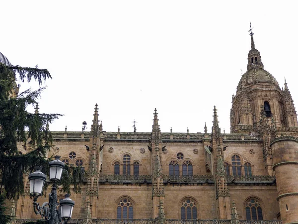 Cathedral of Salamanca, Spain, world heritage — Stock Photo, Image