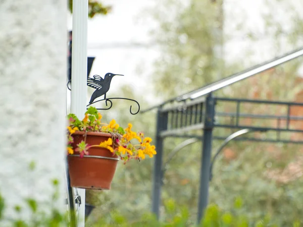 Pflanzkübel und eiserner Vogel an der Fassade eines Bauernhauses — Stockfoto