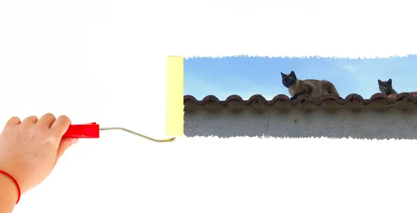 En person som maler to katter på et tak på en hvit vegg med en rullebørste – stockfoto