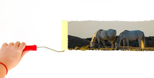 Una persona pintando un paisaje con dos caballos en una pared blanca con un cepillo de rodillos — Foto de Stock