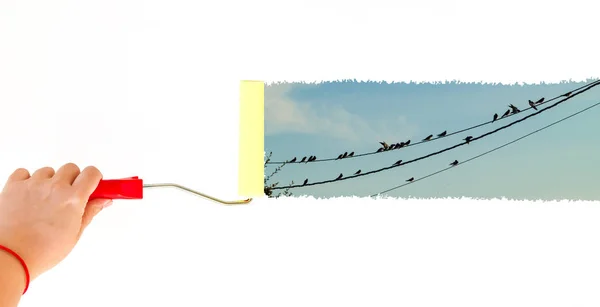 Jedna osoba Malování kabely vlaštovky prohlížení na bílé zdi se Válcový kartáč — Stock fotografie