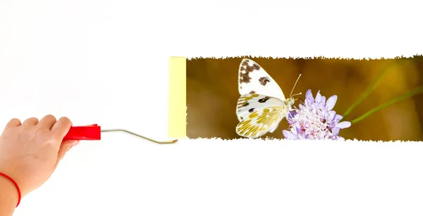 Una persona pintando una mariposa sobre una flor en una pared blanca con un cepillo de rodillo — Foto de Stock