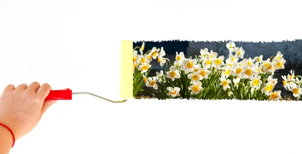 Una persona pintando flores en una pared blanca con un cepillo de rodillo — Foto de Stock
