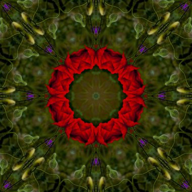 Bir çiçek Dürbünü çiçek deseninin arka plan