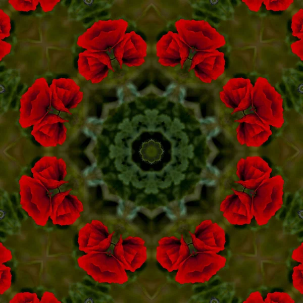 Abstracte Achtergrond Van Floral Patroon Van Een Caleidoscoop — Stockfoto