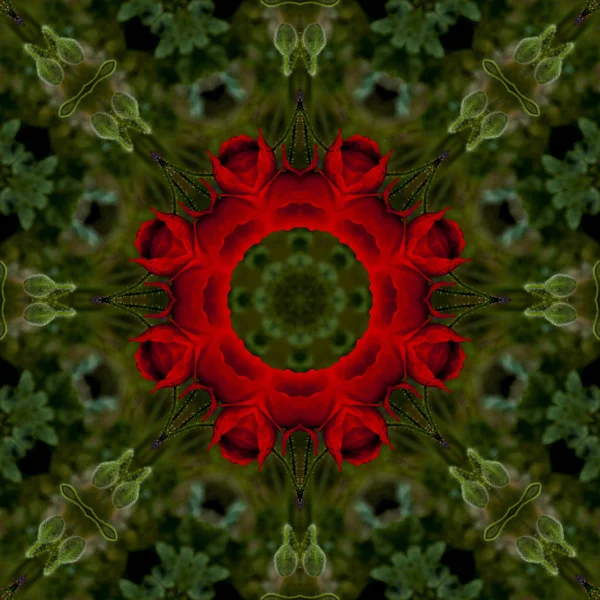 Abstraktní Pozadí Květinový Vzor Kaleidoskop — Stock fotografie