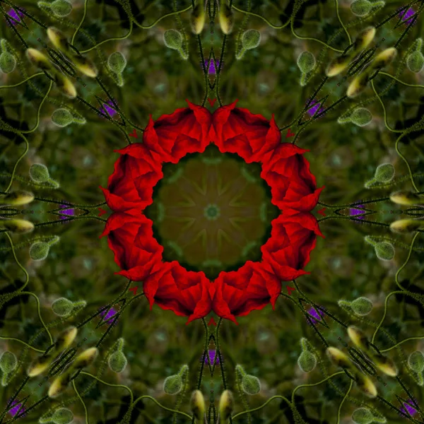 Contexto Abstrato Padrão Floral Caleidoscópio — Fotografia de Stock