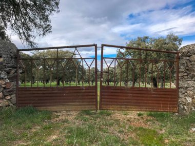 Holm Oaks ve taş çit, bulutlar ve mavi gökyüzü ile mera bir demir kapalı kapı