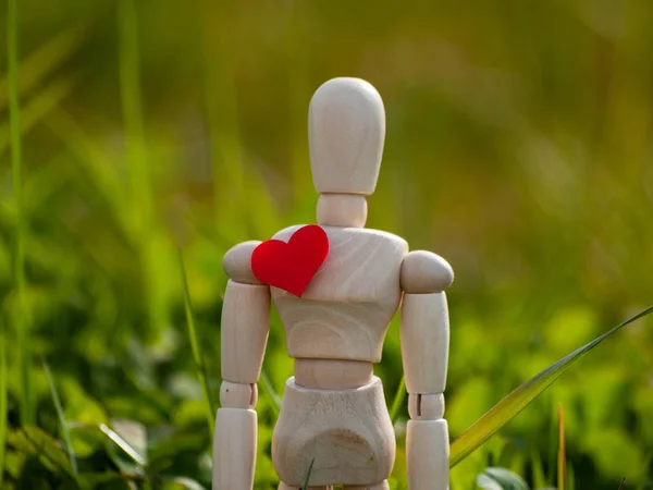 Schaufensterpuppe aus Holz mit einem roten Herz auf der Brust. Konzept von Romantik und Liebe — Stockfoto