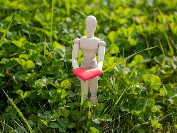 Houten mannequin met een rood hart op zijn handen in het gras. Concept van romantiek en liefde — Stockfoto