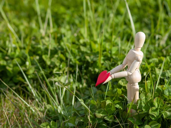 Manichino in legno con un cuore rosso sulle mani nell'erba. Concetto di romanticismo e amore — Foto Stock