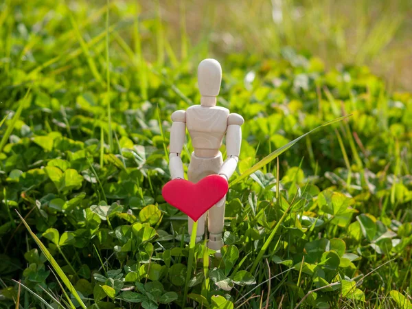 Hölzerne Schaufensterpuppe mit einem roten Herz an den Händen im Gras. Konzept von Romantik und Liebe — Stockfoto