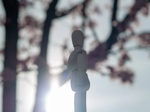 Silhouette einer Holzpuppe vor einem blühenden Baum im Frühling und in der Sonne — Stockfoto