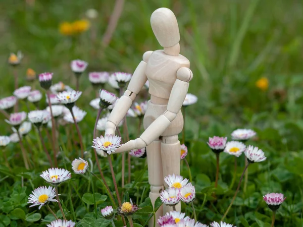 Maniquí de madera entre flores en primavera Ecología y concepto de jardín — Foto de Stock