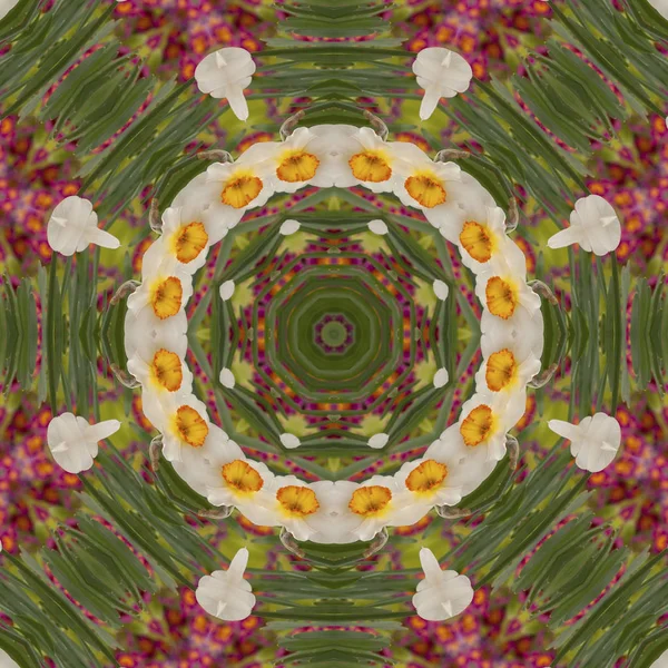 Abstrakt kaleidoskop med påskelilblomster om våren – stockfoto