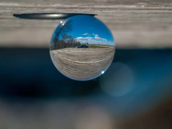 Reflections of bare tres of the forest in a crystal ball / concept of environment — Stock Photo, Image