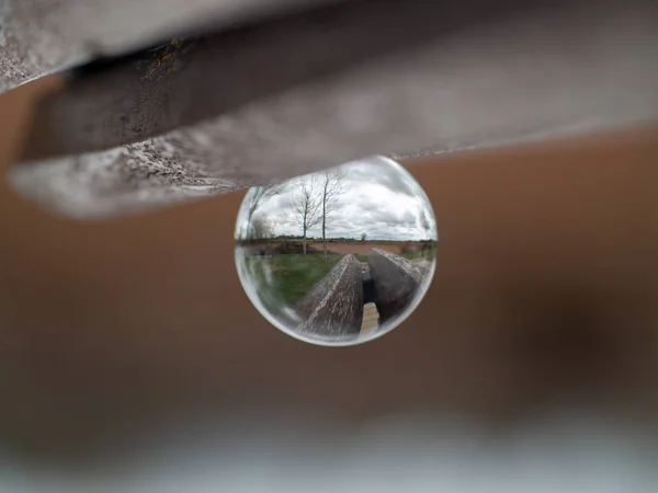 Reflections of one street in a park in a crystal ball / concept of environment — Stock Photo, Image