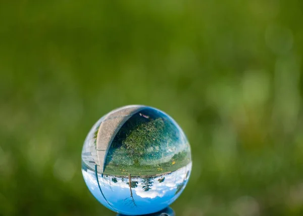 Reflexões de dentes-de-leão em um jardim na primavera em uma bola de cristal / conceito de ambiente — Fotografia de Stock