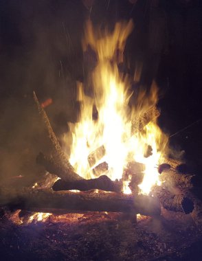 Kamp orman yangında