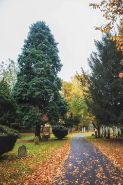 Newark mezarlığı, Londra yol NOTTINGHAMSHIRE İngiltere'de sonbahar