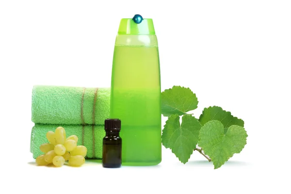 Natural products for hair care — Stock Photo, Image