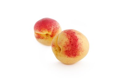 Beyaz arka planda izole edilmiş olgun kayısı.