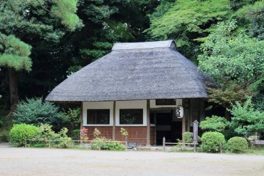 Tokyo, Japonya - 02 Ekim 2017: Japonca park Koishik doğada
